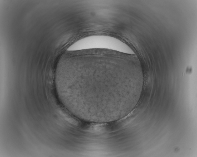 X0000094460078200711291731