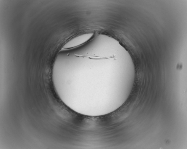 X0000094460079200711291731