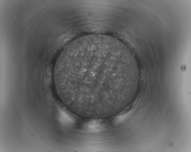 X0000094460080200711291731