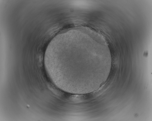 X0000094460082200711291731