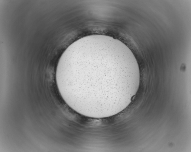 X0000094460083200711291731