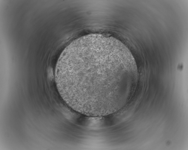 X0000094460089200711291732