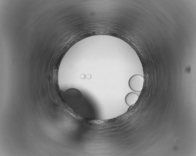 X0000094460093200711291732