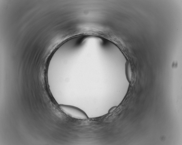 X0000094460098200711291731