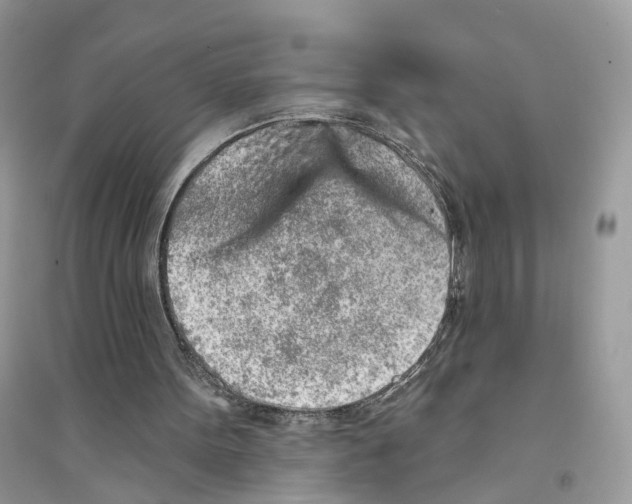 X0000094460099200711291731