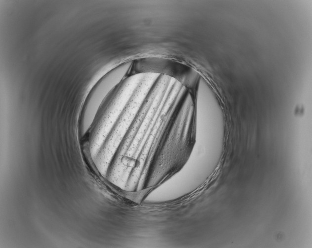 X0000094460100200711291731