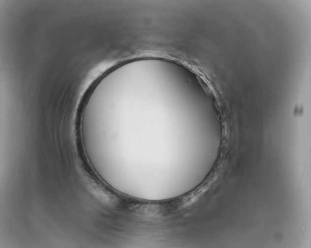 X0000094460104200711291731