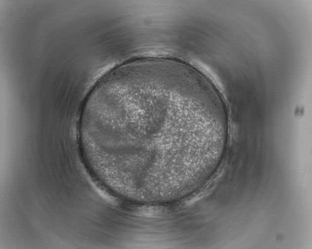 X0000094460105200711291731