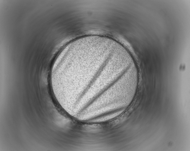 X0000094460106200711291731