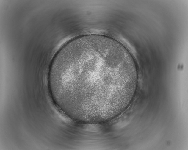 X0000094460107200711291731