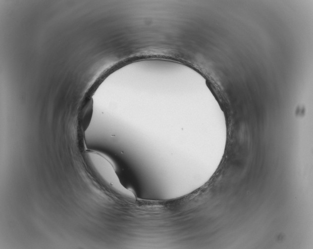 X0000094460108200711291731