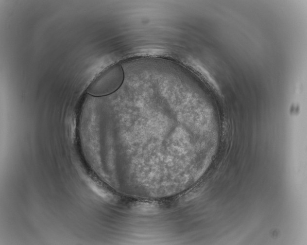 X0000094460110200711291731