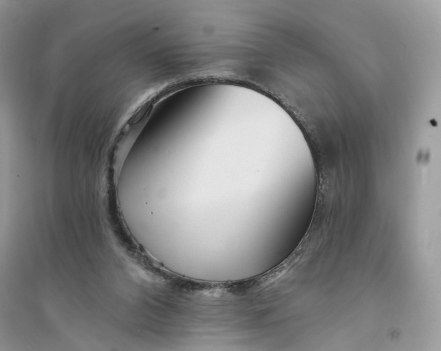 X0000094460112200711291731