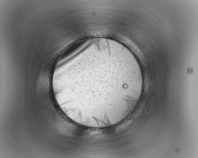 X0000094460113200711291731