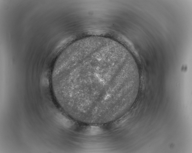 X0000094460114200711291731