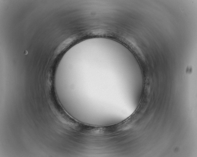 X0000094460116200711291731