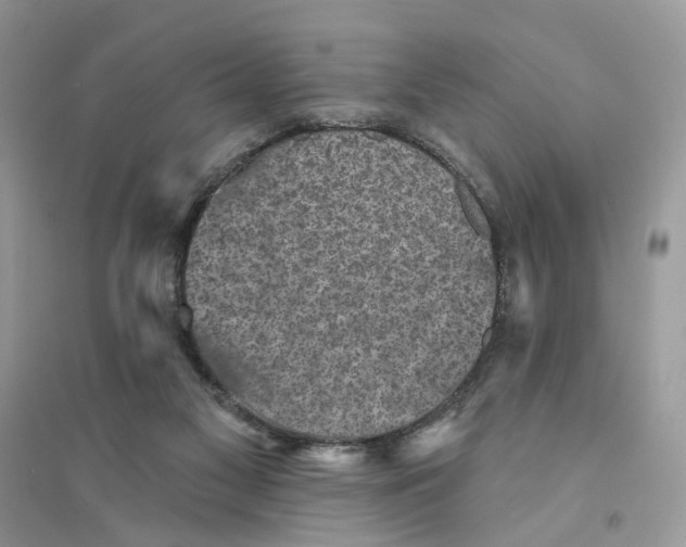 X0000094460117200711291731