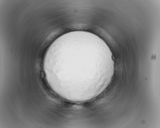 X0000094460119200711291731