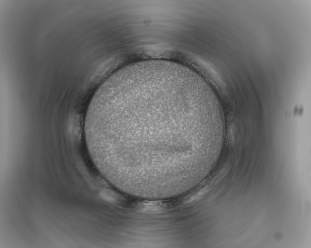 X0000094460121200711291731