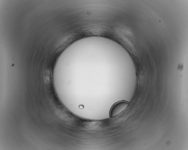 X0000094460122200711291730