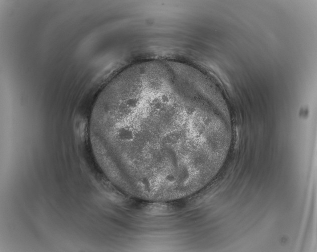 X0000094460123200711291730