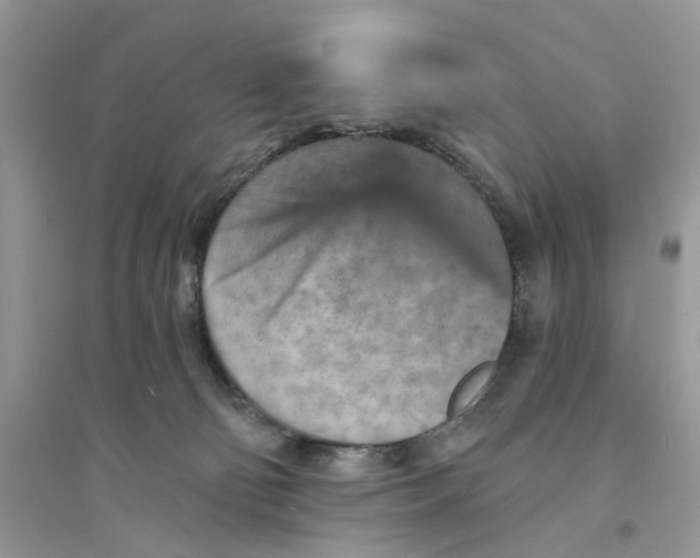 X0000094460130200711291730