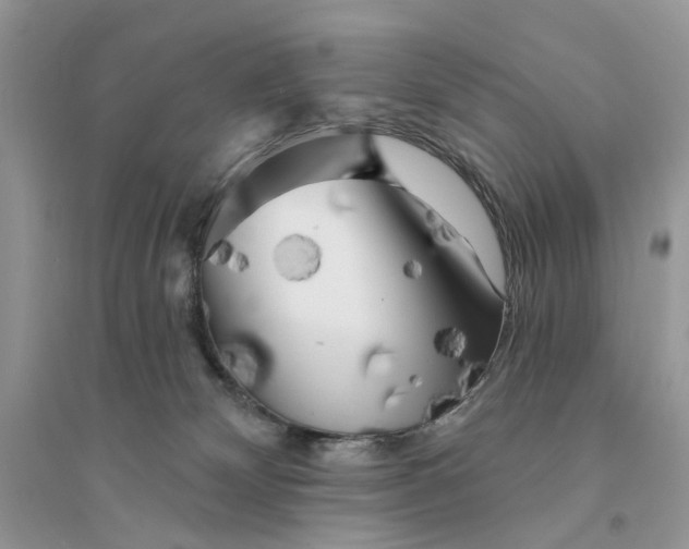 X0000094460132200711291730