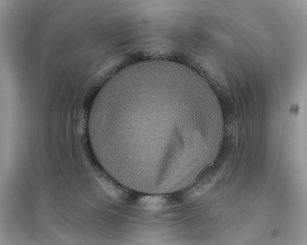 X0000094460133200711291730