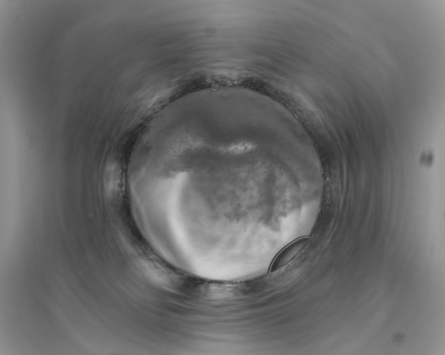 X0000094460134200711291730