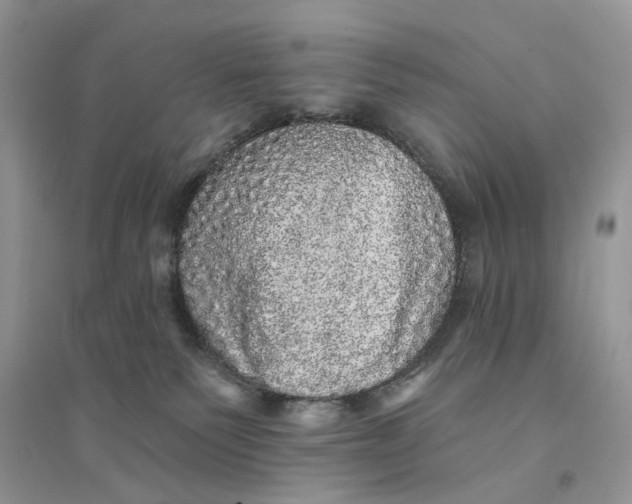 X0000094460135200711291730