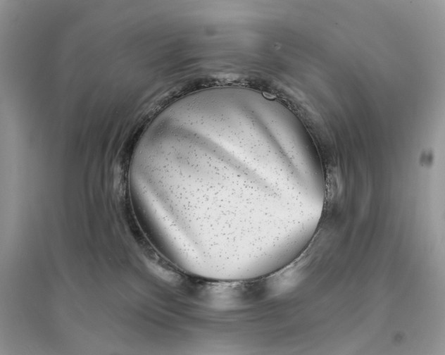 X0000094460136200711291730