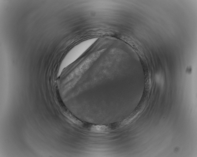 X0000094460137200711291730