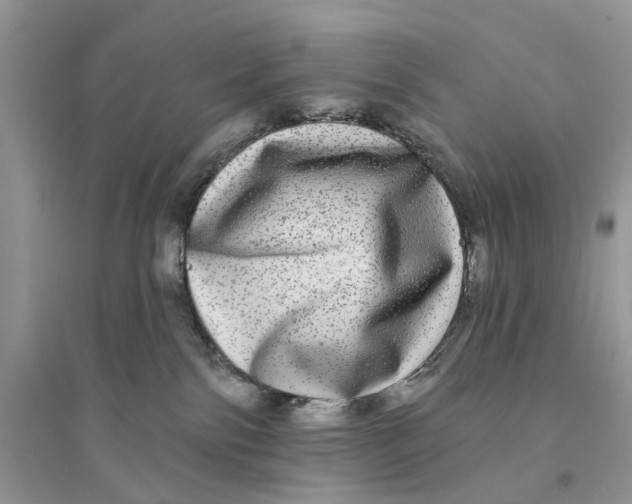 X0000094460138200711291730