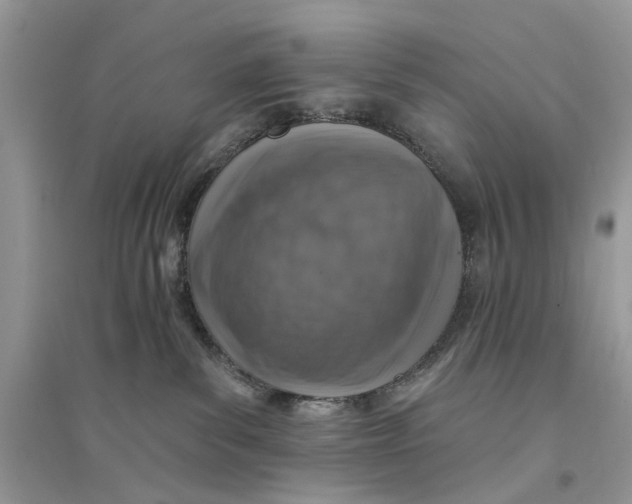 X0000094460139200711291730