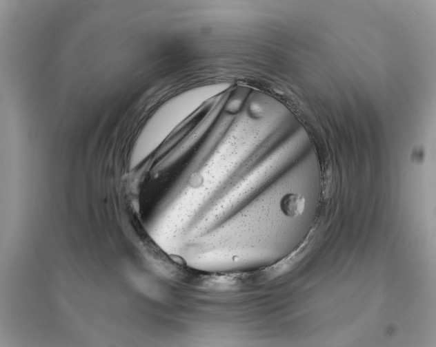 X0000094460140200711291730