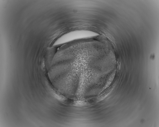 X0000094460141200711291730