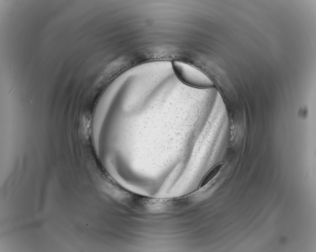 X0000094460142200711291730