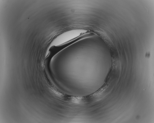 X0000094460143200711291730