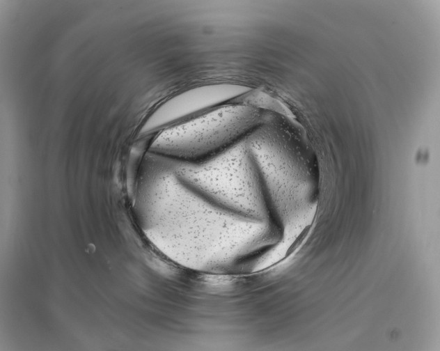 X0000094460144200711291730