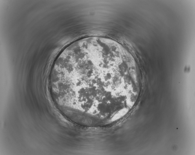 X0000094460145200711291729