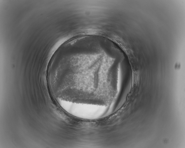 X0000094460147200711291729