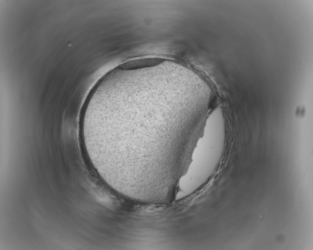 X0000094460148200711291730