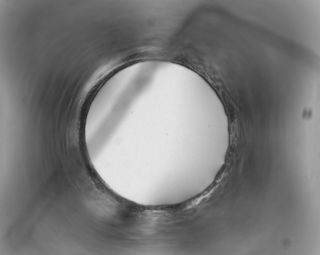 X0000094460150200711291730