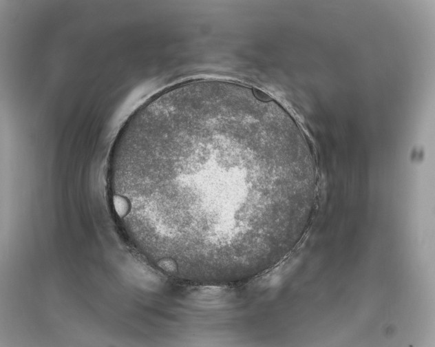 X0000094460151200711291730