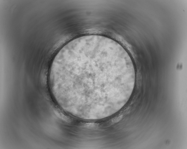 X0000094460153200711291730