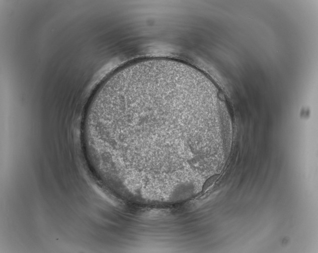 X0000094460155200711291730