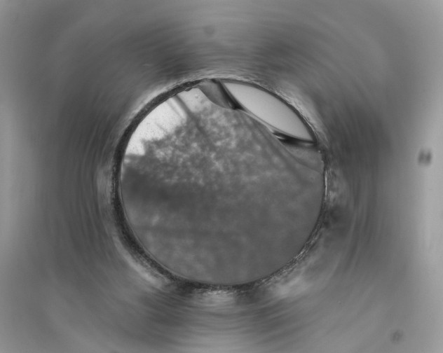 X0000094460156200711291730