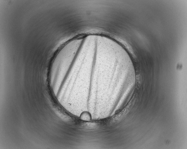 X0000094460159200711291730