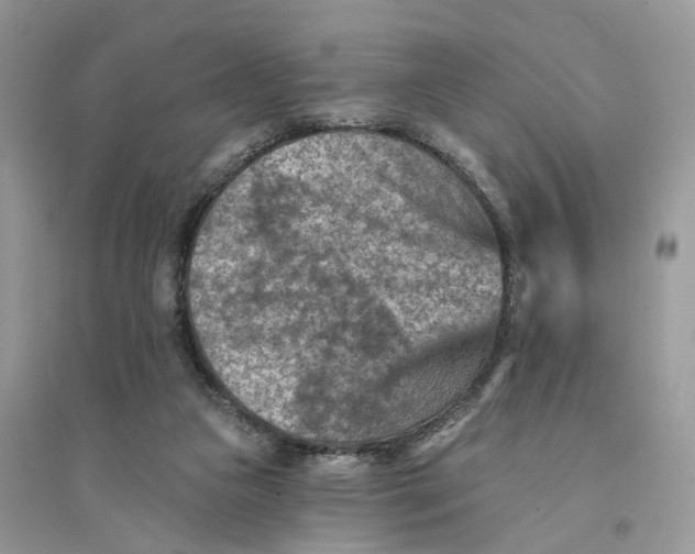 X0000094460161200711291730