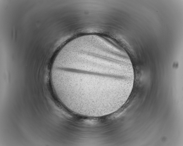 X0000094460164200711291730